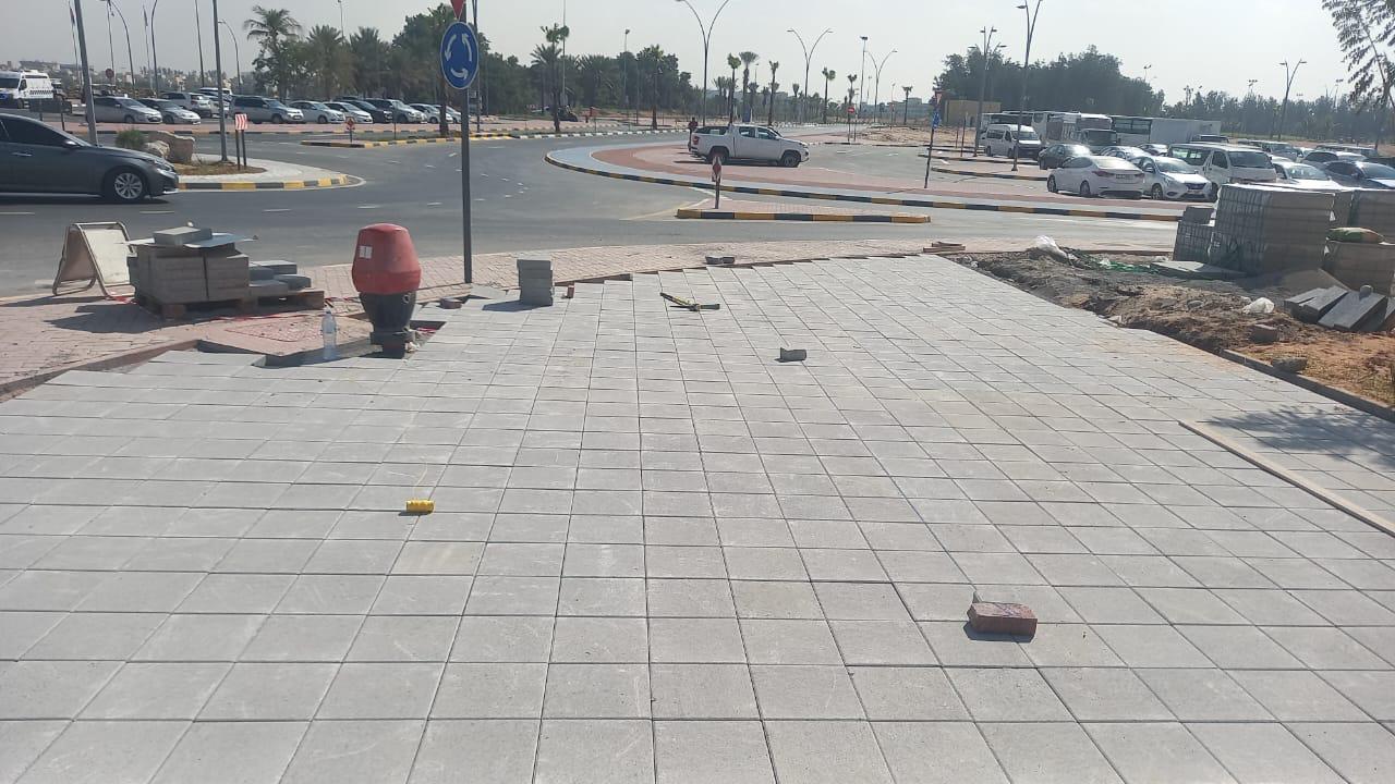 Landscaping with Al Bania 7